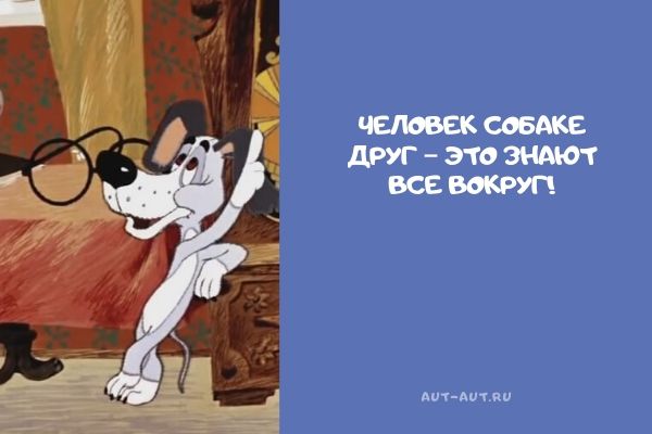 Лучшие цитаты из советских мультфильмов