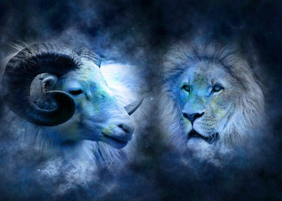 совместимость овна и льва, совместимость овен мужчина лев женщина, совместимость овен женщина лев мужчина, совместимость в любви овен и лев, совместимость в дружбе овен и лев, совместимость в работе овен и лев