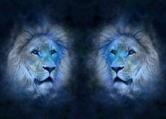 Лев и Лев совместимость. Мужчина Лев совместимость. Мужчина Лев и женщина Лев совместимость. Совместимость Льва и Льва в отношениях.