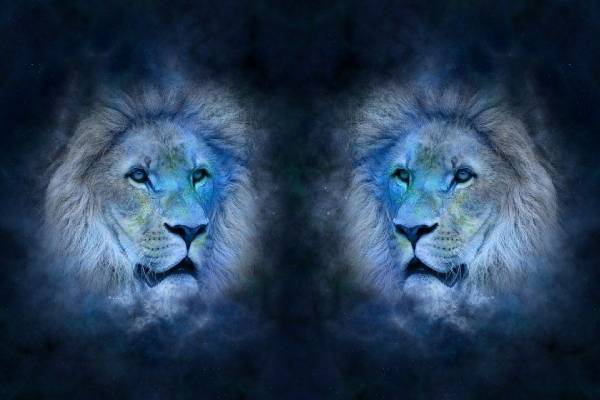 Лев и Лев совместимость. Мужчина Лев совместимость. Мужчина Лев и женщина Лев совместимость. Совместимость Льва и Льва в отношениях.